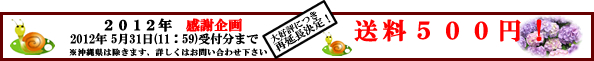 年末キャンペーン