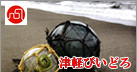 津軽びいどろ